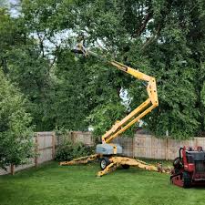 Best Fruit Tree Pruning  in Parkwood, CA