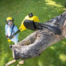 Best Tree Mulching  in Parkwood, CA